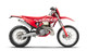 GasGas EC 250
